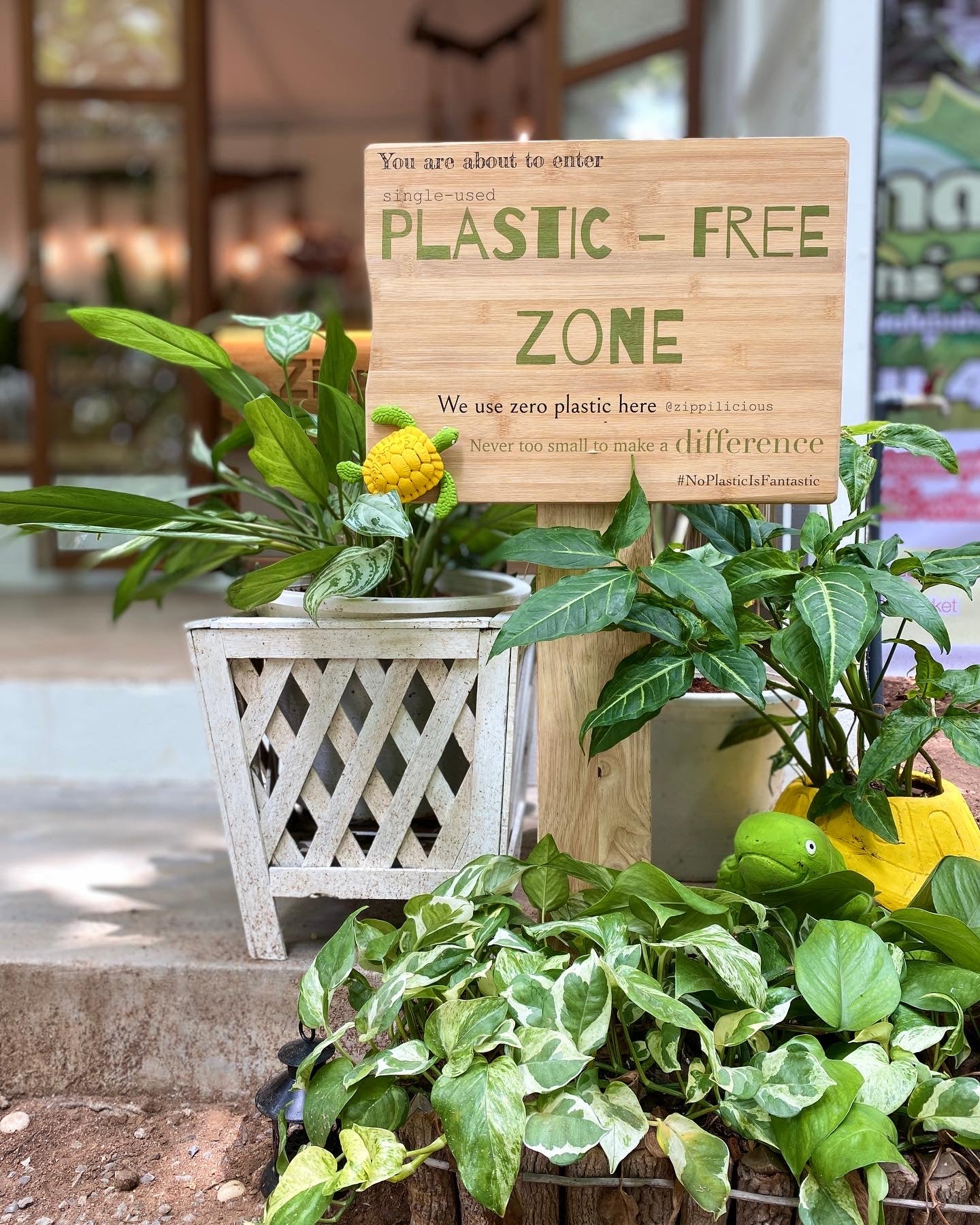 Plastic Free Zone at Zippilicious